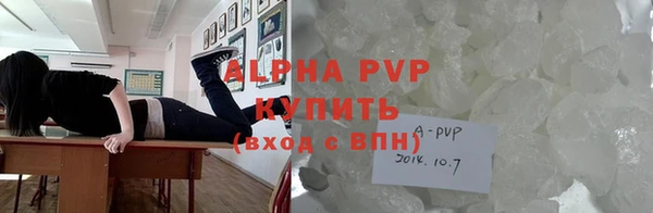 стаф Нефтекумск